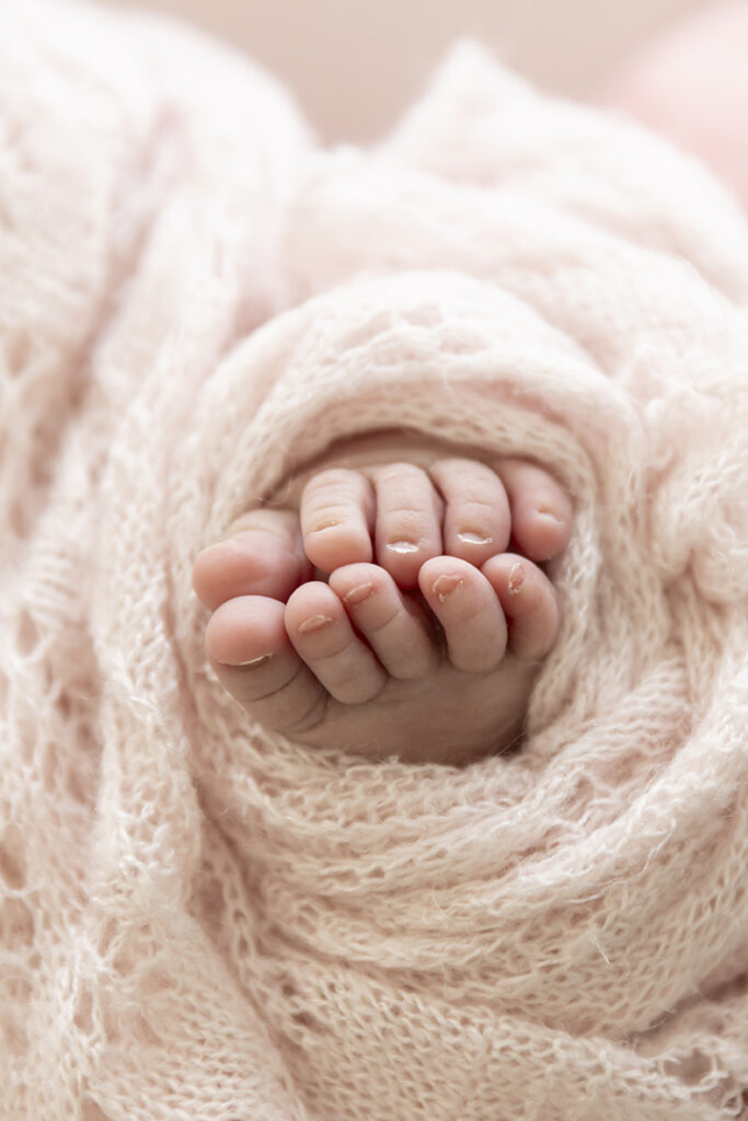 Newborn Photoshoot