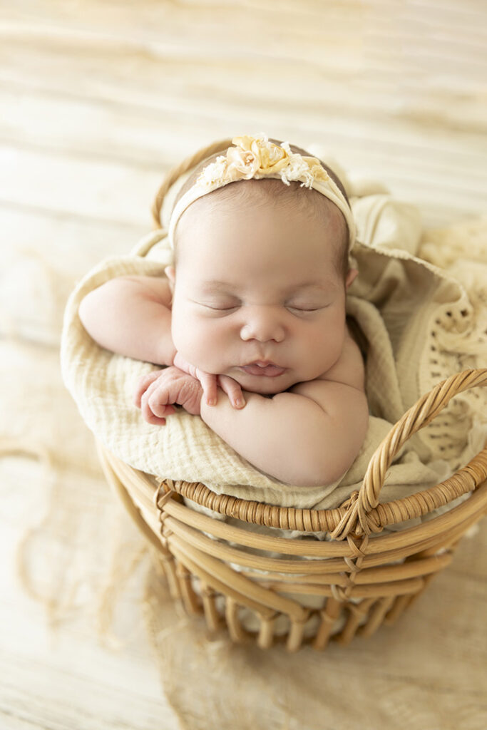 Newborn Studio