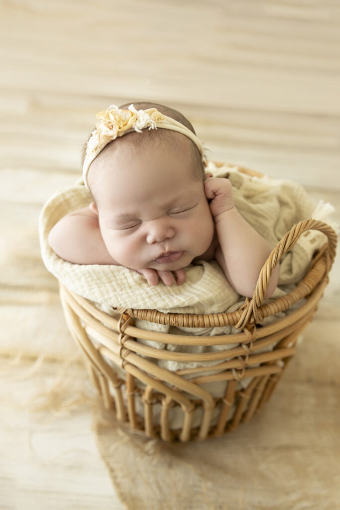 Newborn Studio