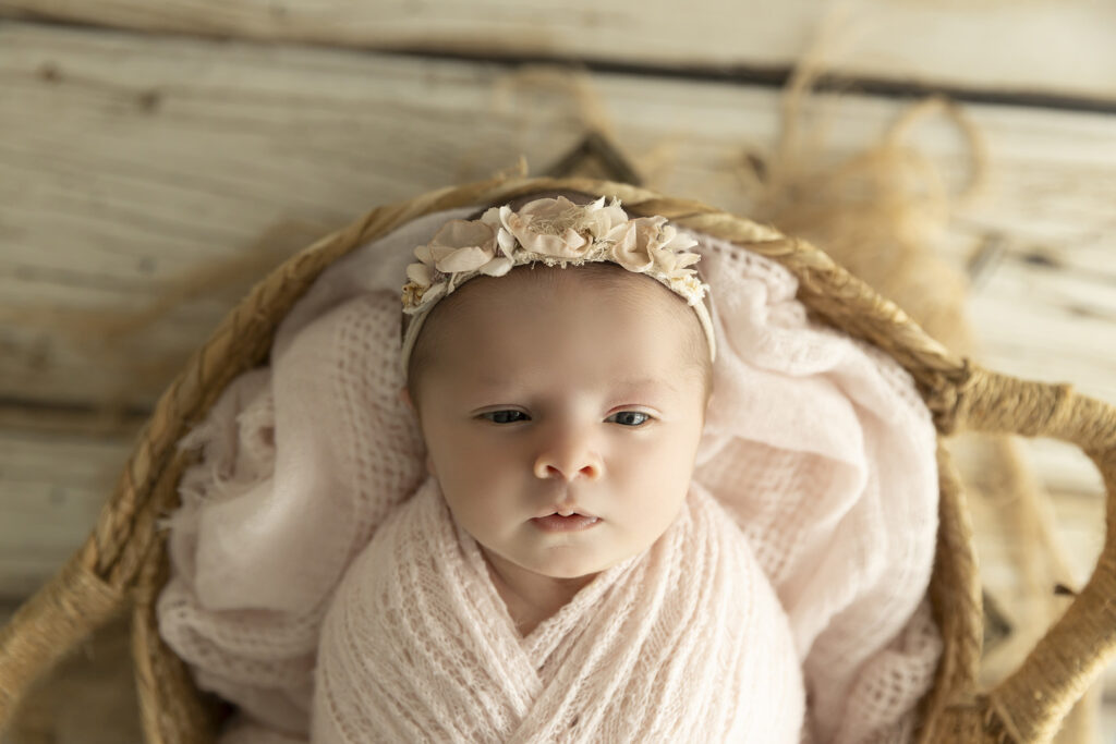 Newborn Studio