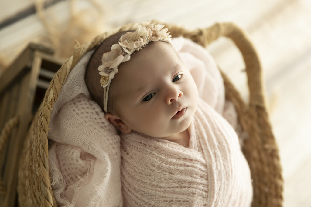 Newborn Studio