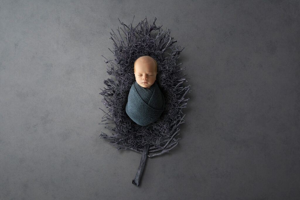 Newborn Studio