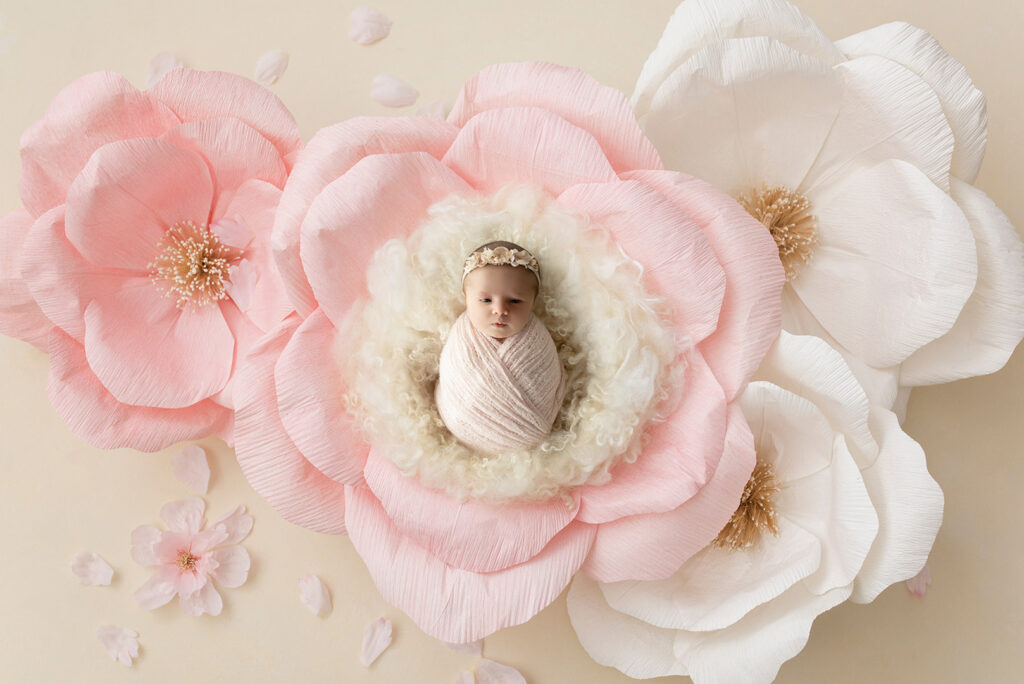 Newborn Studio