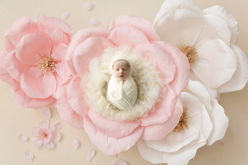 Newborn Studio