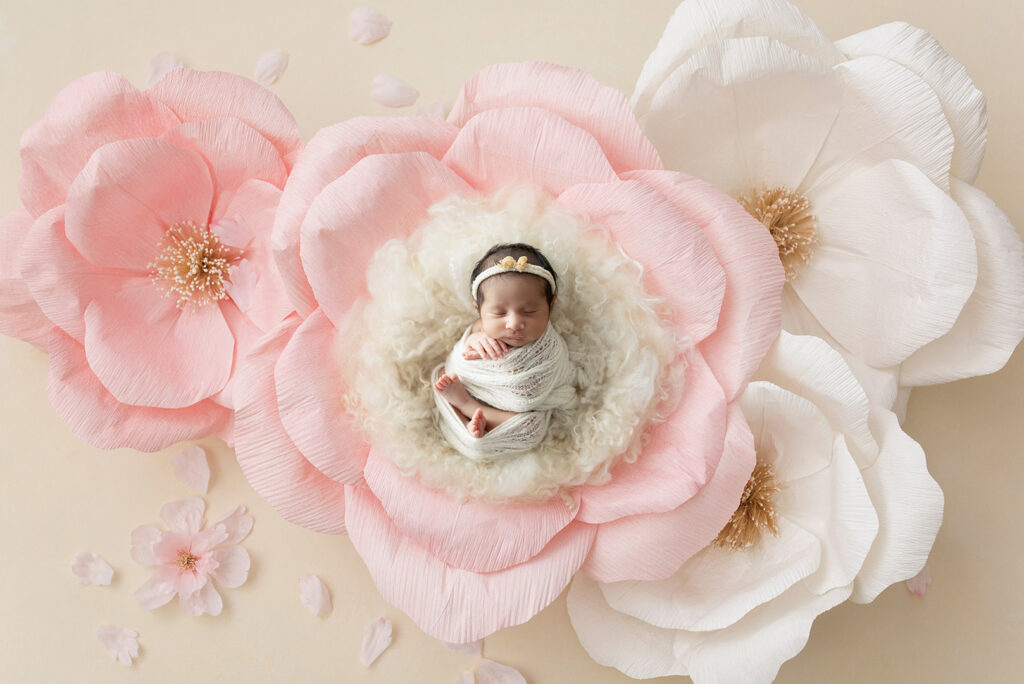 Newborn Studio