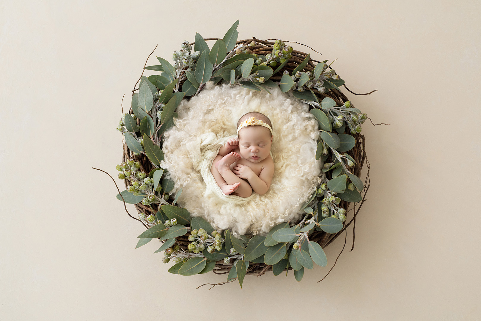 Newborn Studio
