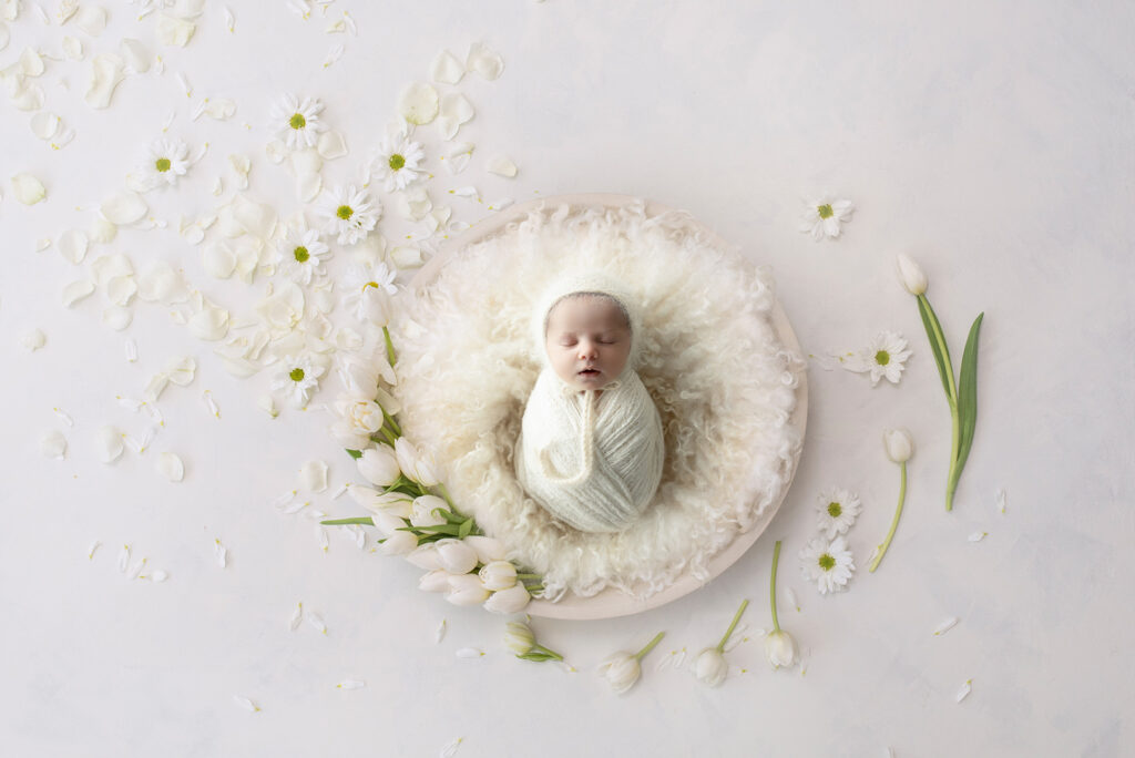 Newborn Studio