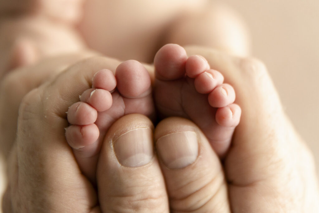 Newborn Photos