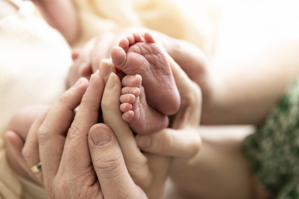 Newborn Studio