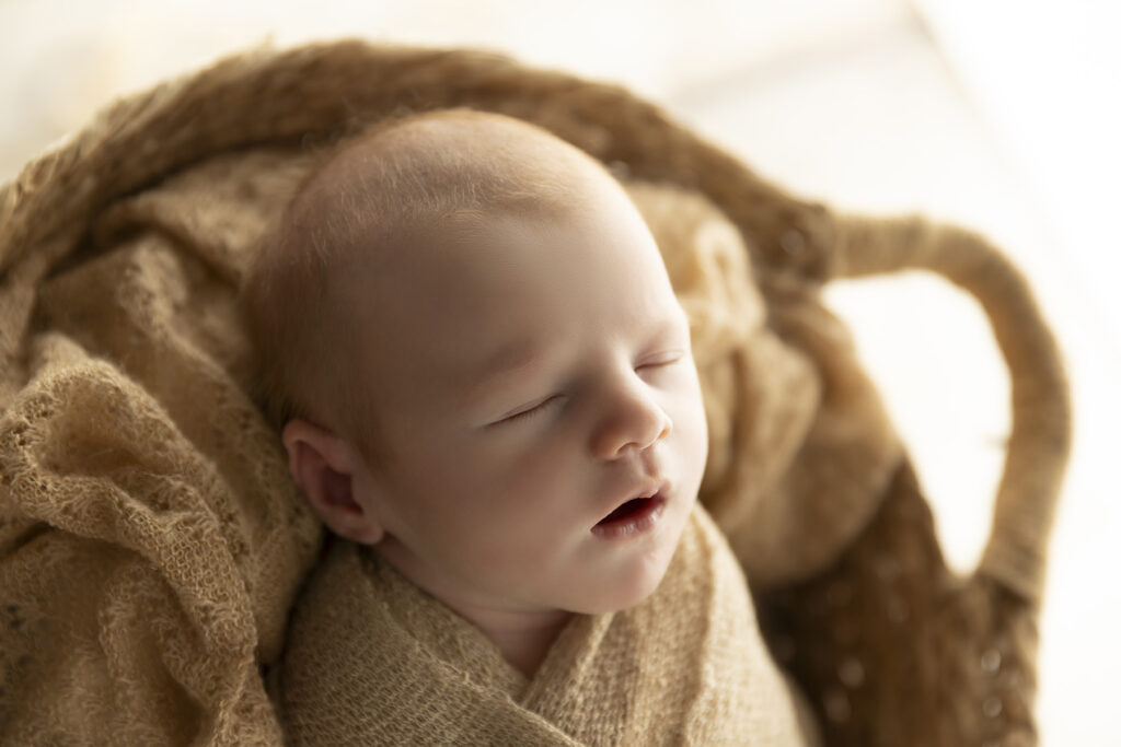 Newborn Studio