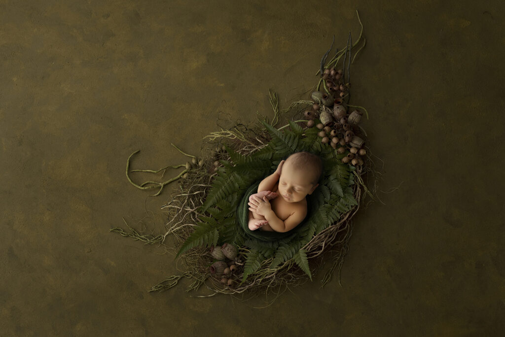 Brisbane Newborn Studio