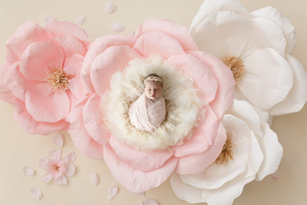 Newborn Studio