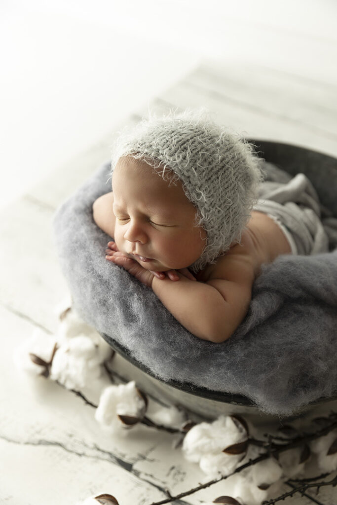 North Brisbane Photographer