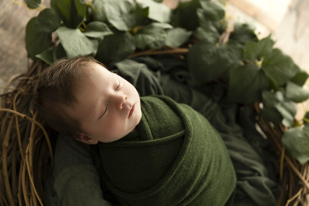 Newborn Studio North Brisbane