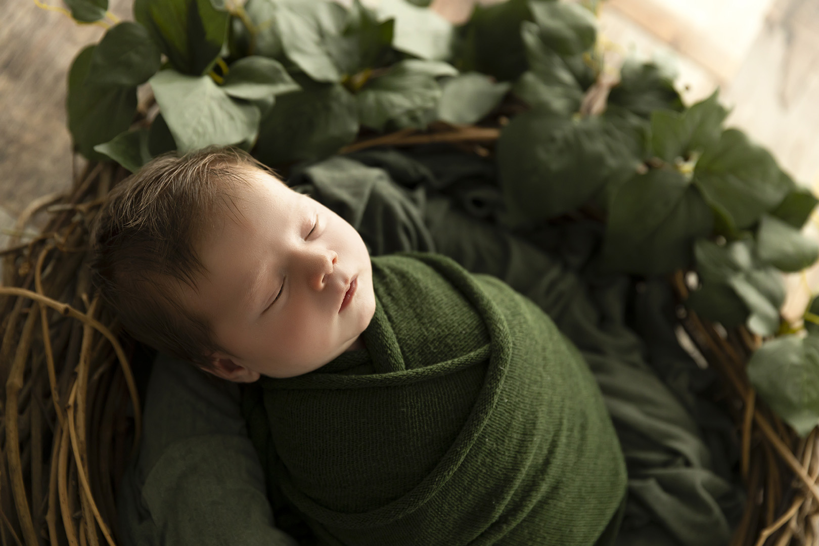 Newborn Studio North Brisbane