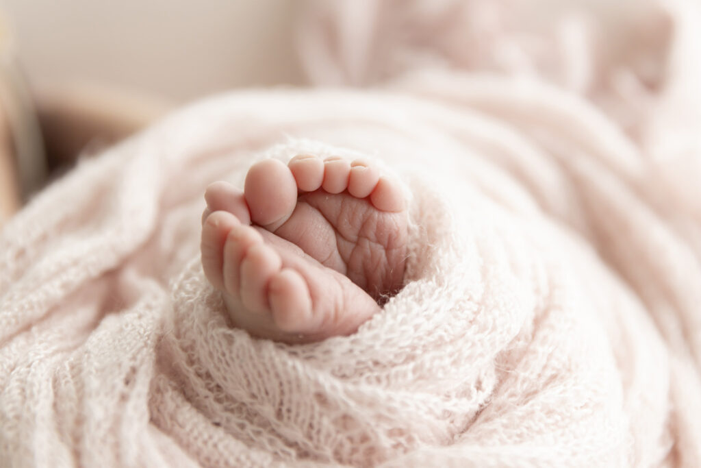 Newborn Studio