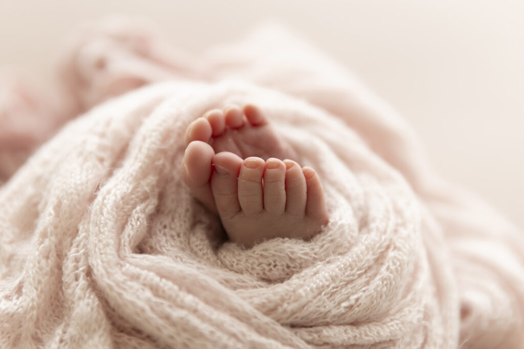 Newborn Photographers
