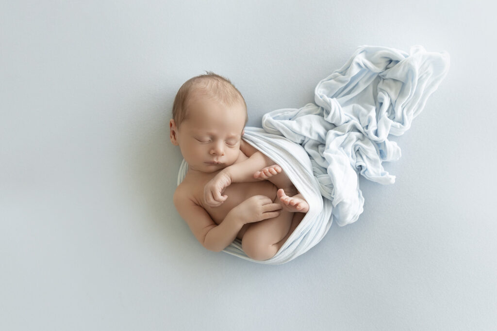 Newborn At Lavender Lane Photography Brisbane