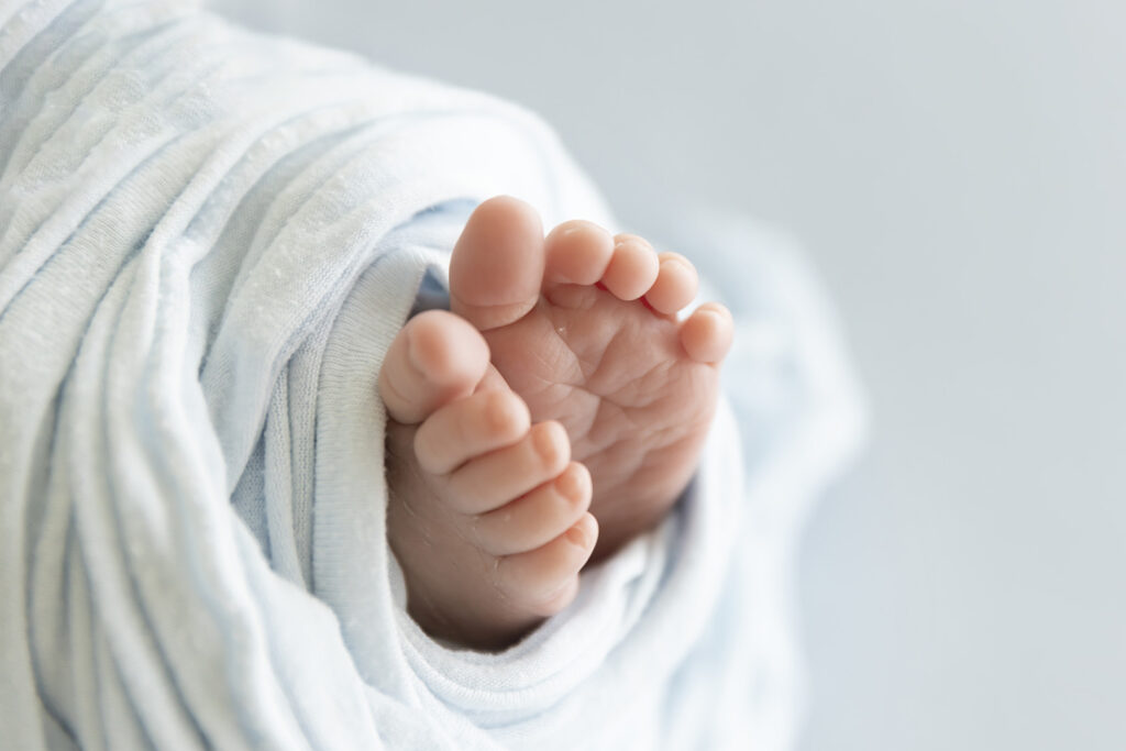 Newborn At Lavender Lane Photography Brisbane