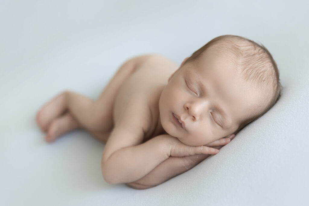 Newborn At Lavender Lane Photography Brisbane