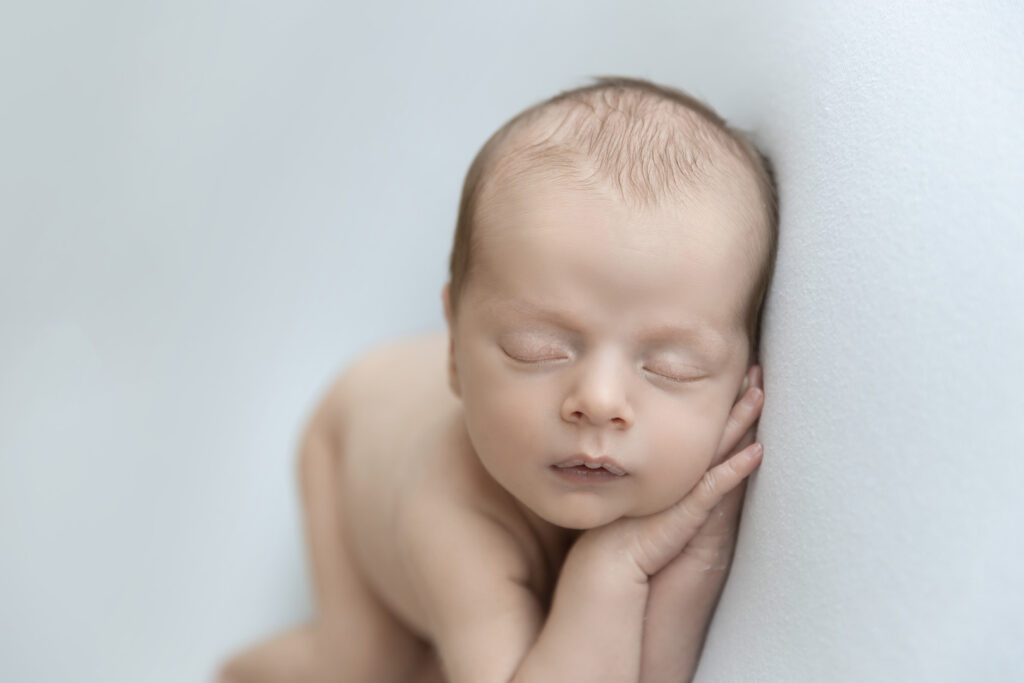 Newborn At Lavender Lane Photography Brisbane