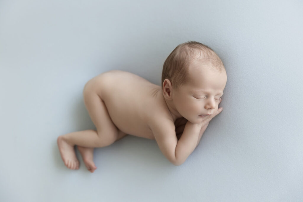 Newborn At Lavender Lane Photography Brisbane