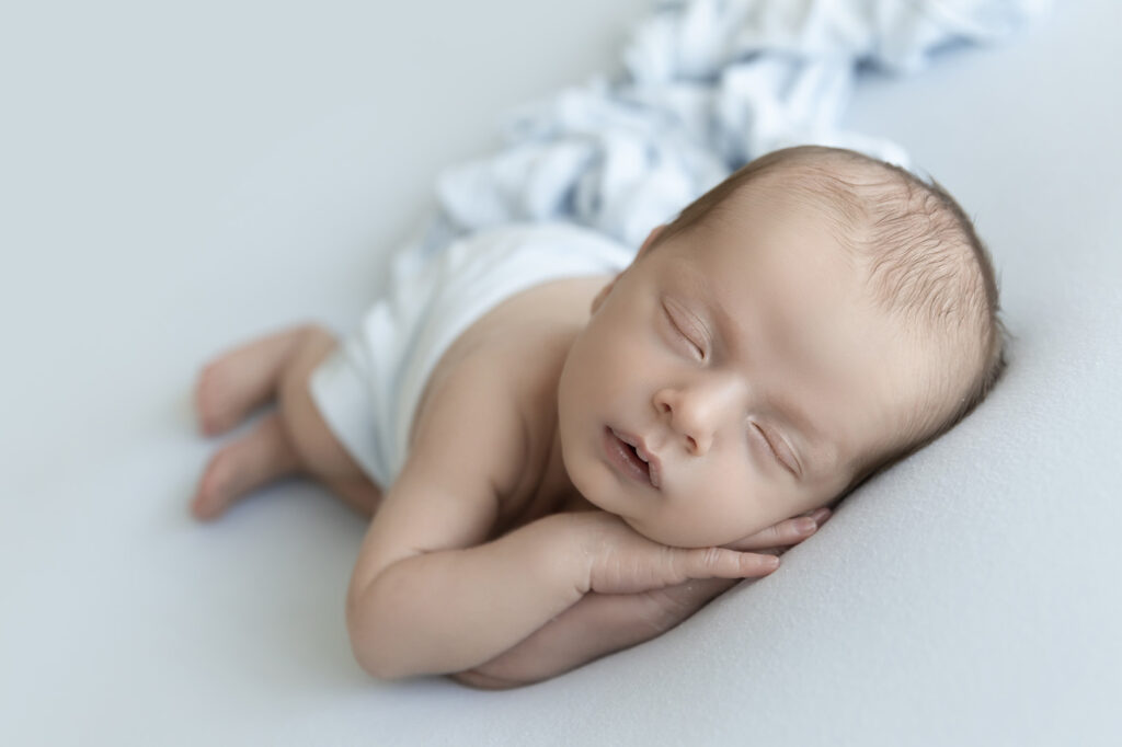 Newborn At Lavender Lane Photography Brisbane