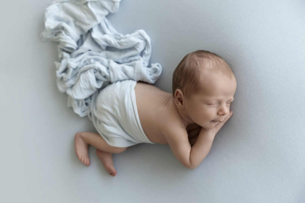 Newborn At Lavender Lane Photography Brisbane