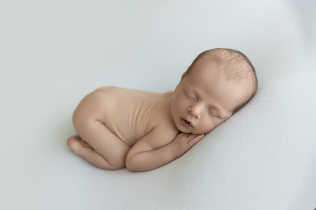 Newborn At Lavender Lane Photography Brisbane