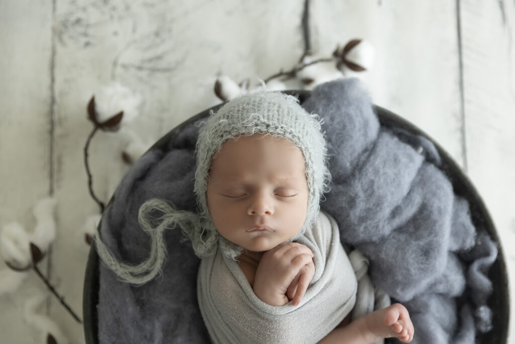 Newborn At Lavender Lane Photography Brisbane
