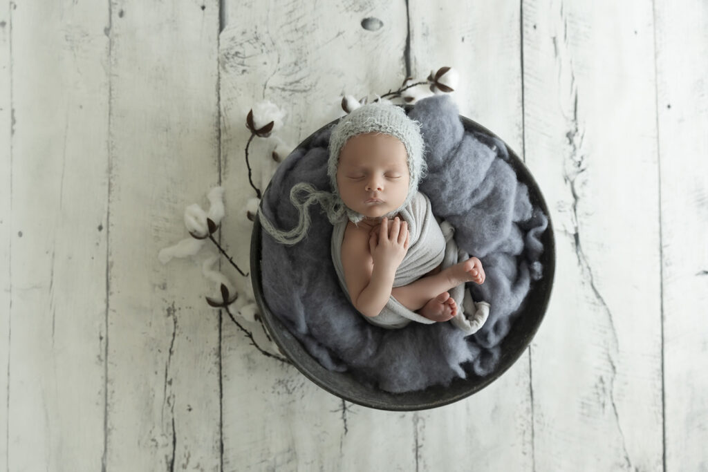 Newborn At Lavender Lane Photography Brisbane