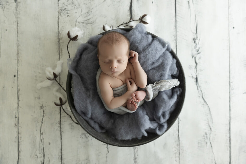 Newborn At Lavender Lane Photography Brisbane