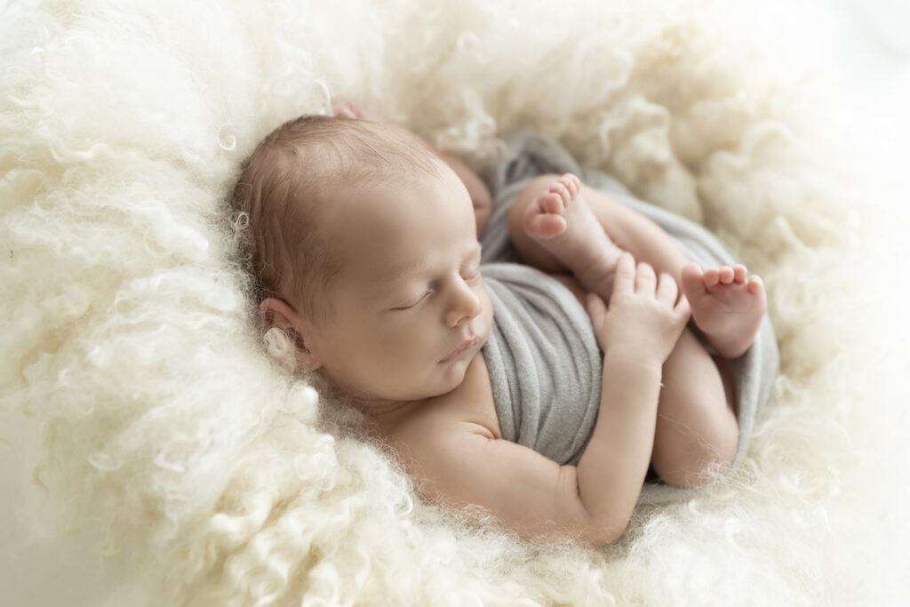 Newborn At Lavender Lane Photography Brisbane