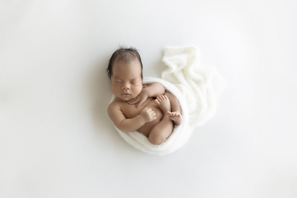 Newborn Session at Lavender Lane