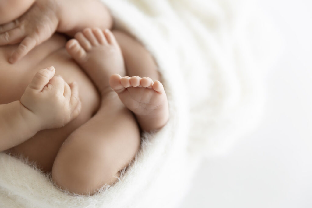 Newborn Session at Lavender Lane