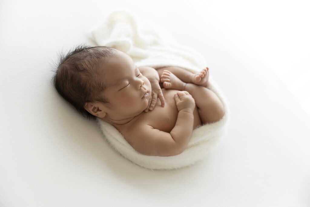 Newborn Session at Lavender Lane