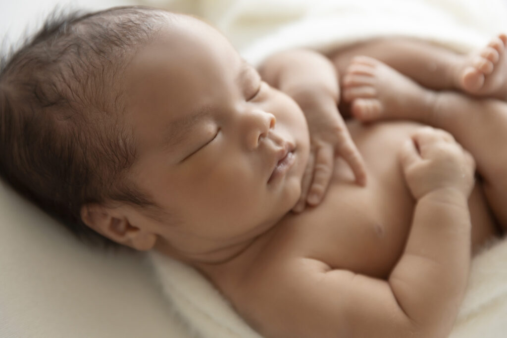 Newborn Session at Lavender Lane