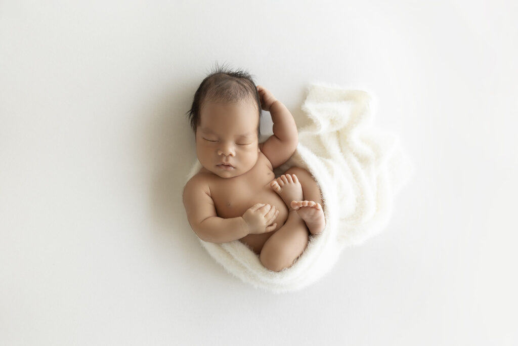 Newborn Session at Lavender Lane