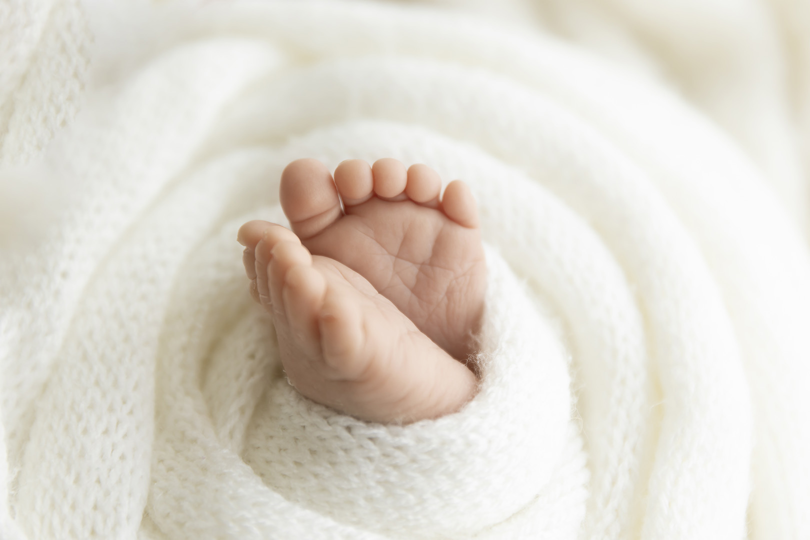 Newborn Session at Lavender Lane
