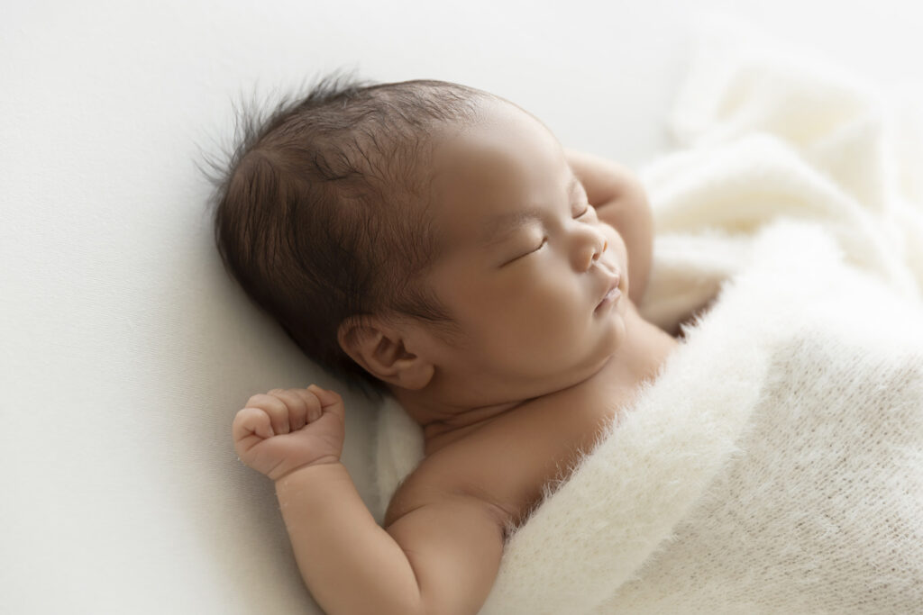 Newborn Session at Lavender Lane