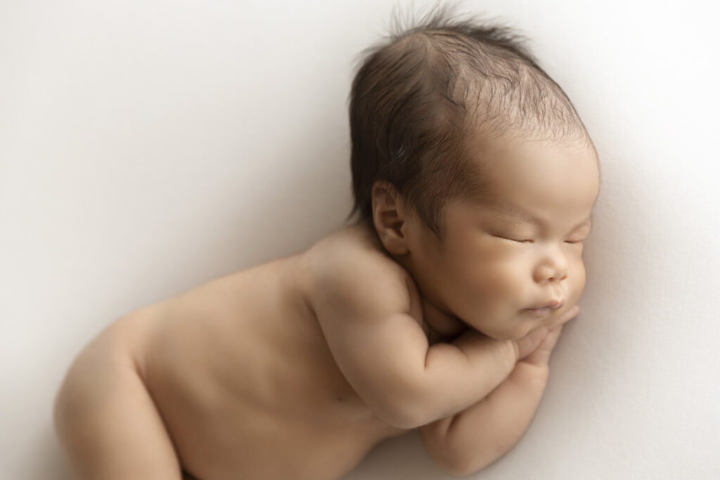 Newborn Session at Lavender Lane