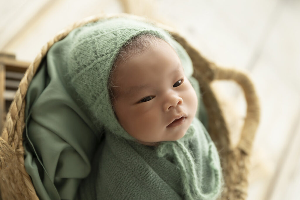 Newborn Session at Lavender Lane