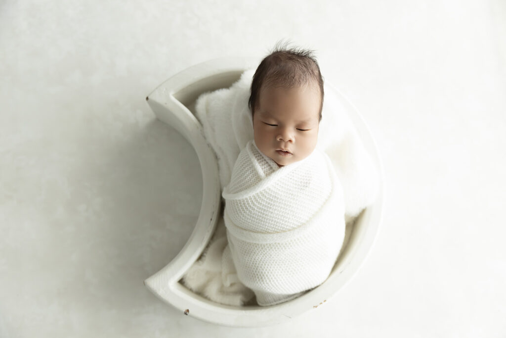 Newborn Session at Lavender Lane