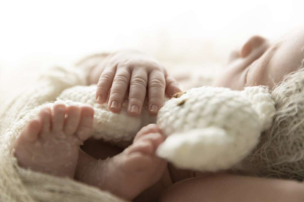 Newborn Photography BNE