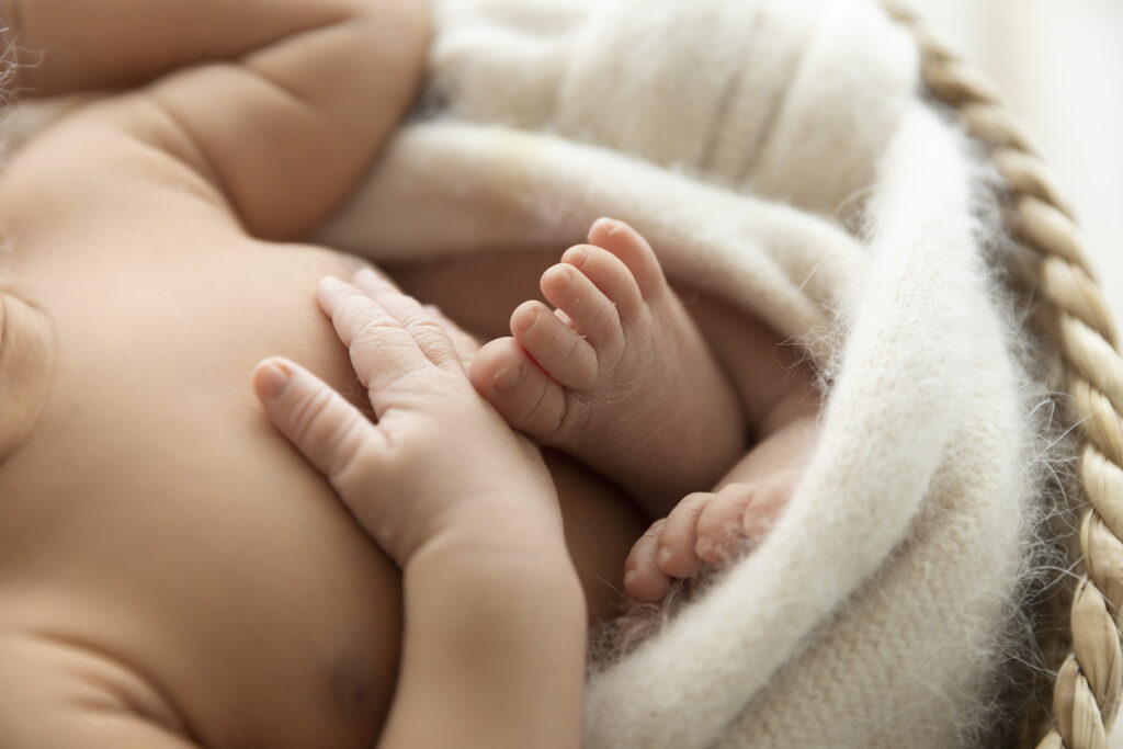 A Gentle Newborn Session in Our Brisbane Studio