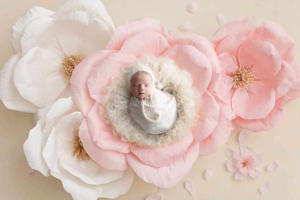 Timeless Newborn Photos