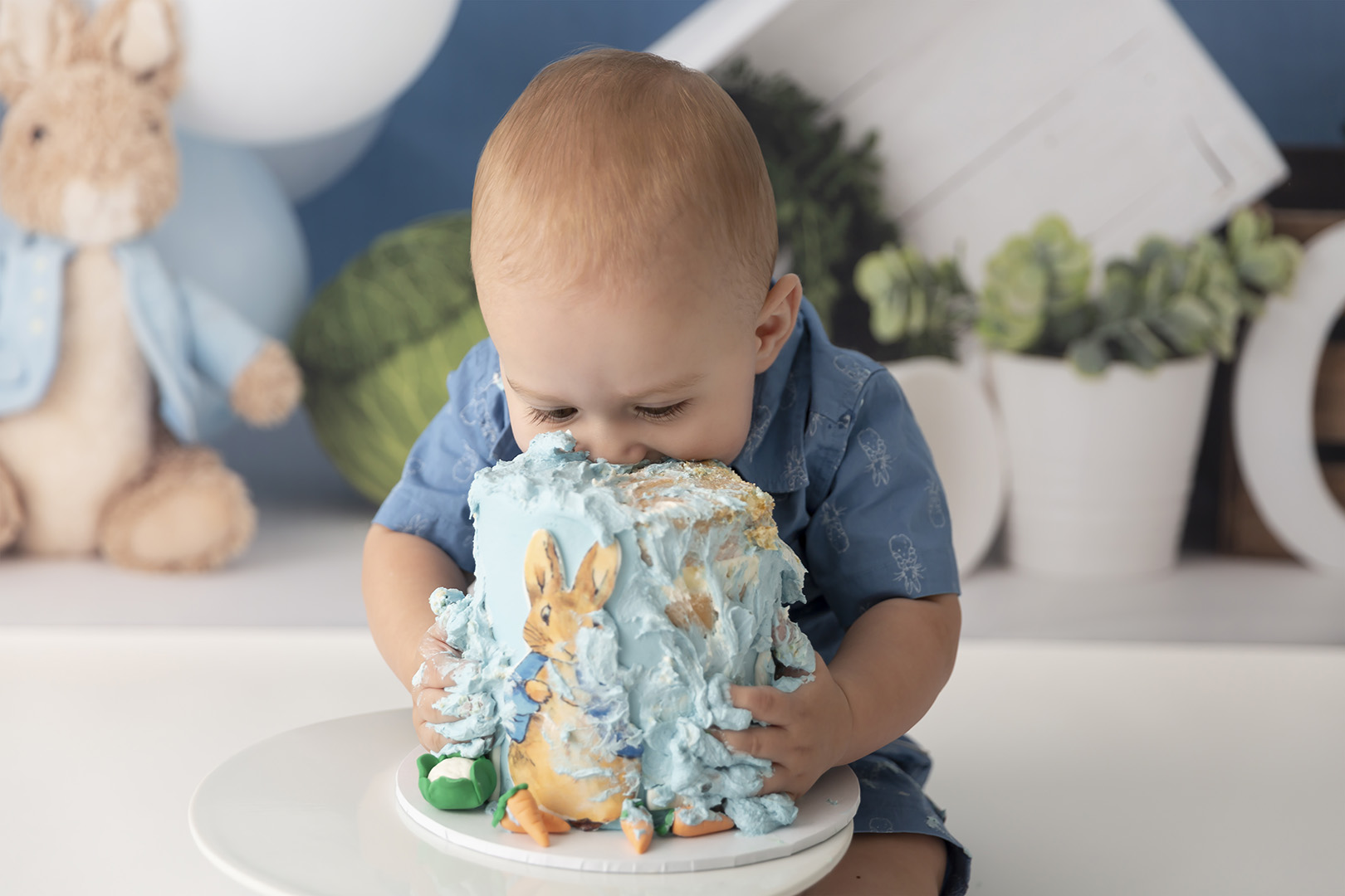 Studio Cake Smash BNE