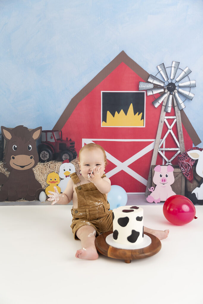 Cake Smash Photographer