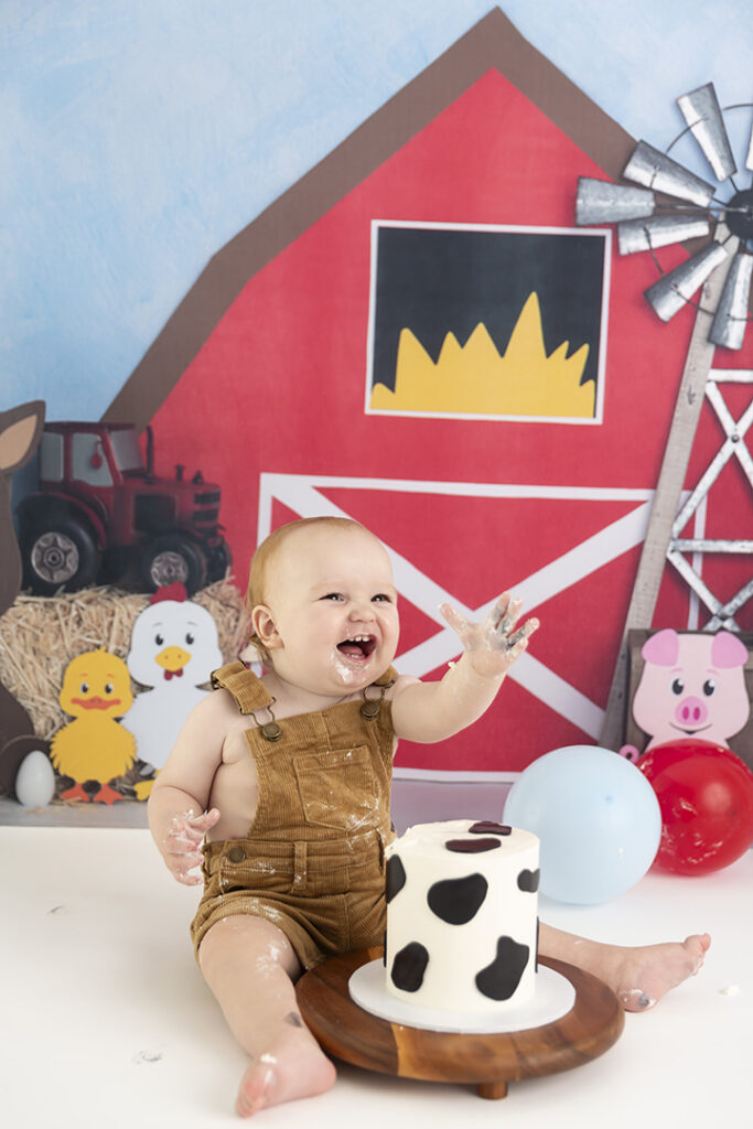 Cake Smash Photographer