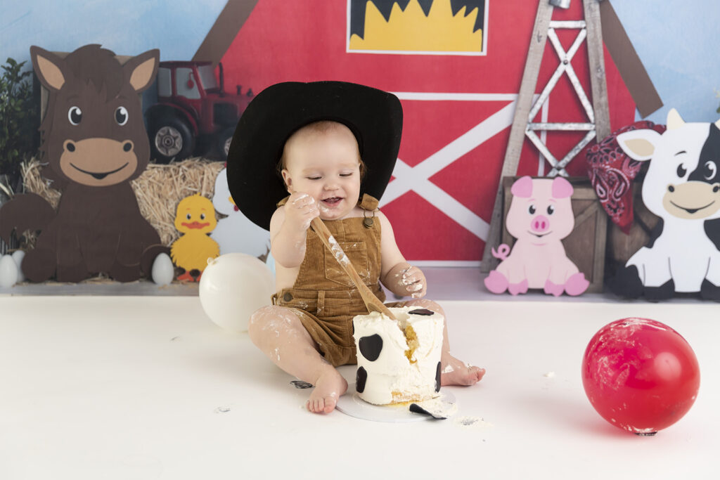 Cake Smash Photographer